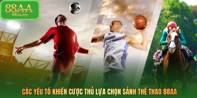 Các yếu tố khiến cược thủ lựa chọn sảnh thể thao 88AA